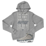 Air Jordan 9 Cool Grey Grey T-Shirt (DREAM IS FREE)| illcurrency