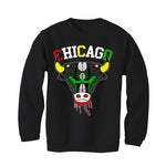 Jordan 13 Playoffs Black T-Shirt (Bulls Playoffs)