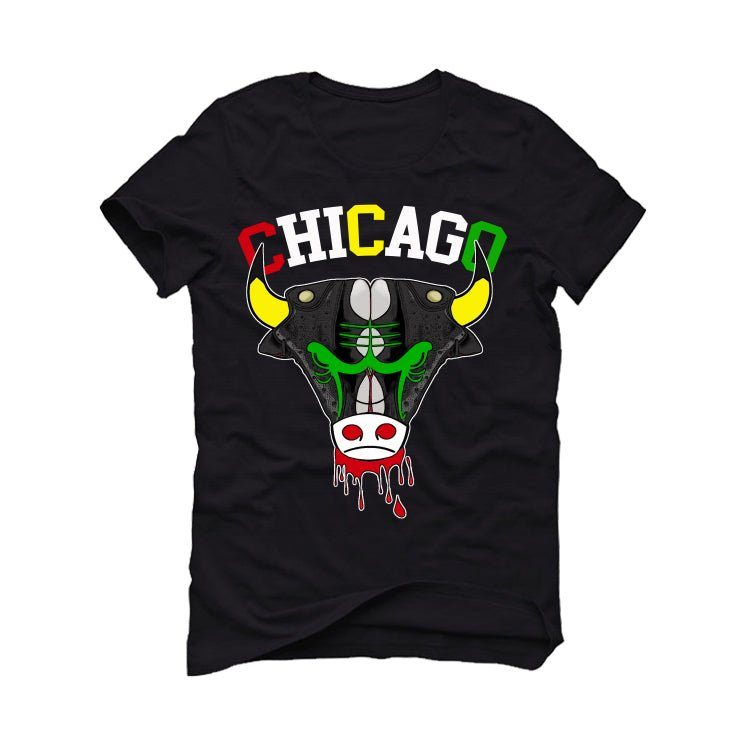 Jordan 13 Playoffs Black T-Shirt (Bulls Playoffs)