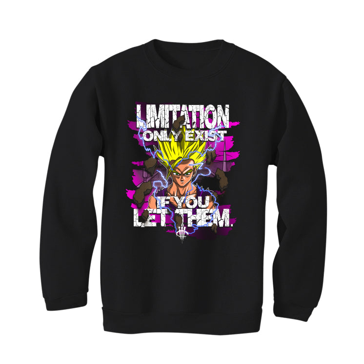 ILL ANIME STREET LEGENDS Limitations