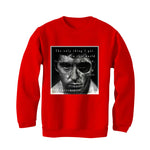 Air Jordan 4 Toro Bravo Matching T-Shirt, Sweatshirts, & Hoodies Red T-Shirt (The Only Thing I Got)| illcurrency
