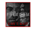 Air Jordan 12 “Red Taxi” | illcurrency White T-Shirt (FREEDOM)