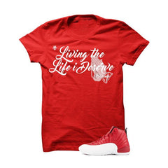 products/shirt-jordan-12-gym-red-t-shirt-living-the-life-i-deserve-1.jpg