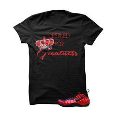 products/shirt-university-red-foams-black-t-shirt-destined-for-greatness-1.jpg
